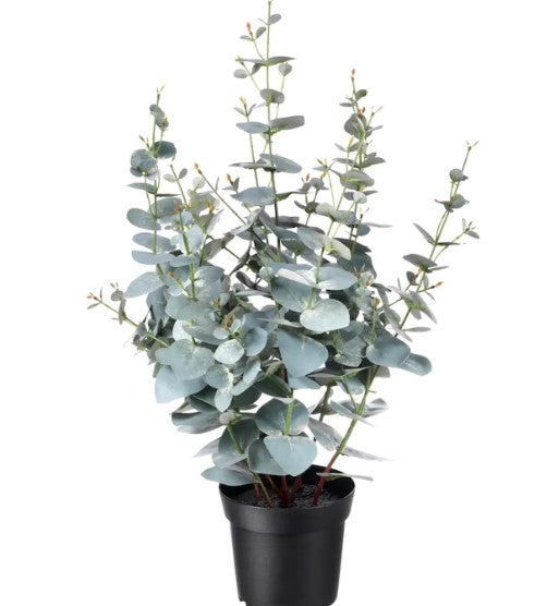 FEJKA Artificial potted plant, in/outdoor eucalyptus