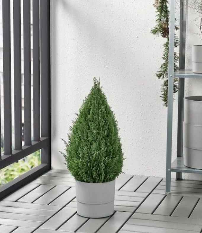 FEJKA Artificial potted plant, in/outdoor cypress