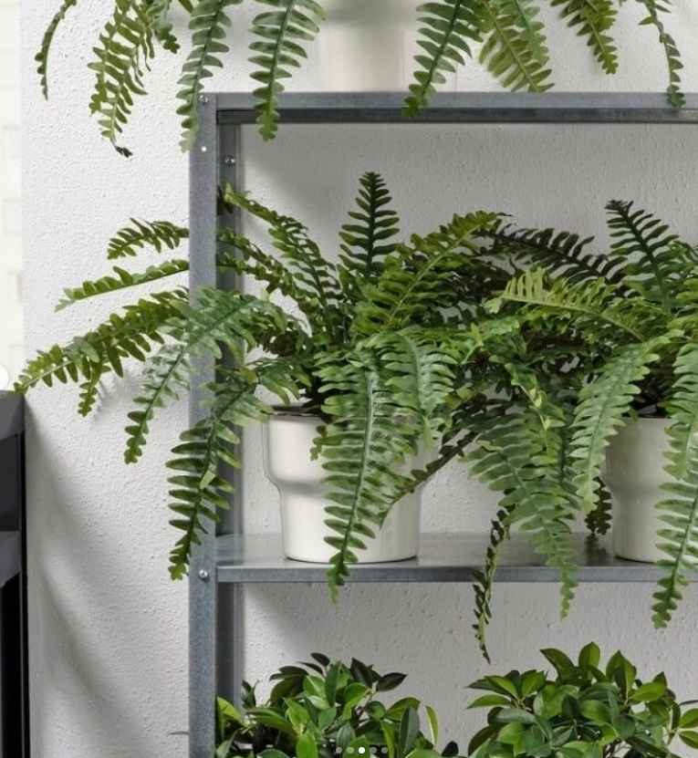 FEJKA Artificial potted plant, in/outdoor fern