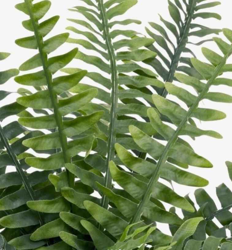 FEJKA Artificial potted plant, in/outdoor fern