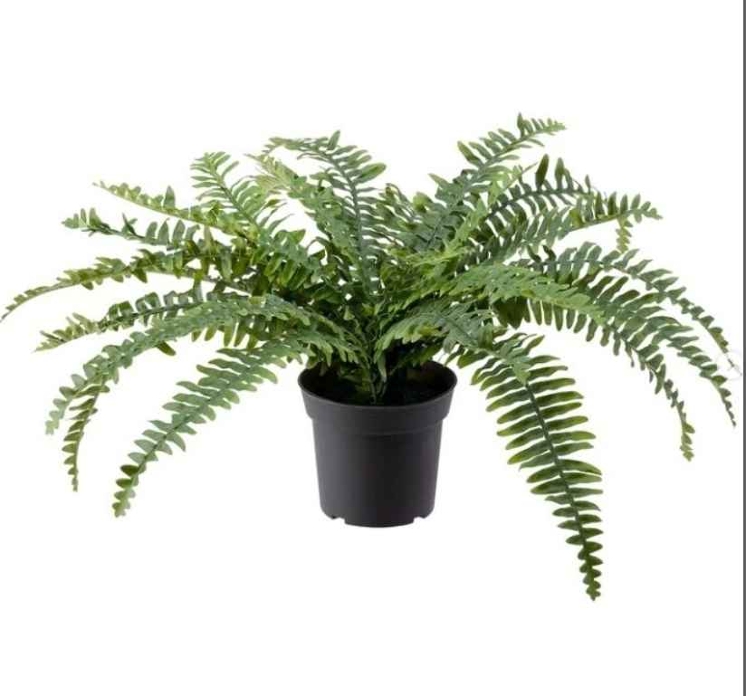 FEJKA Artificial potted plant, in/outdoor fern