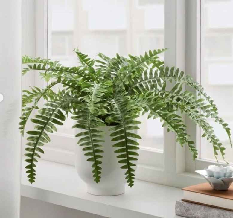 FEJKA Artificial potted plant, in/outdoor fern